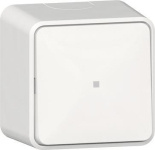 GIRA 311613 Wipp-Kontrollschalter 