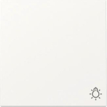 GIRA 328527 Wippe Symbol Licht System 55 