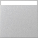 GIRA 329926 Wippe Beschriftungsfeld 