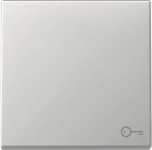 GIRA 3287600 Wippe Symbol Tür System 55 