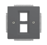 BJ Zentralscheibe anth future 2561-02-81 