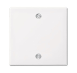 BJ Zentralscheibe Zugschalter   1796-914 