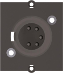 Bachmann Rahmen XLR 5pol Buchse  917.101 