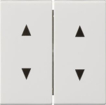 GIRA 115003 Wippe 2fach Pfeile 