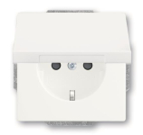 BJ SCHUKO Steckdosen-Eins. 20 EUKBR-884 