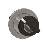 Schneider Frontelement            ZB4FG2 