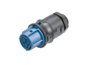 Wieland             RST20I3F B2 M00 BL07 