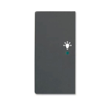 BJ Wippe/L 2f Licht schwarz  6231-21-885 