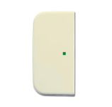 BJ Wippe 2-fach Symbol Licht 6230-20-212 