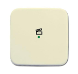 BJ Wippe 1-fach,Symbol Licht 6233-10-212 