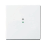 BJ Wippe 1-fach Symbol Licht  6231-10-84 