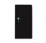 BJ Wippe rechts 2-fach,Symbol 6231-22-81 