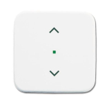 BJ Wippe 1-fach Symbol       6232-10-214 