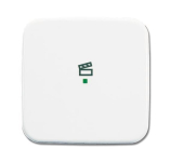 BJ Wippe 1-fach,Symbol Licht 6233-10-214 