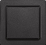 Eltako Funktaster              F2T55E-am 