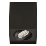 EVN Anbaudownlight schwenkb. ALS24100902 