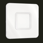 Steinel  Ersatzhaube RS LED M1 Edelstahl 