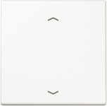 JG Wippe Taster                 LS990PWW 