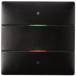 Theben Tastsensor 2  LUXORliving iON2 BK 