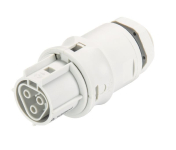 Wieland Buchsenteil   RST20I3F B2 M00 GL 