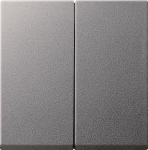 GIRA 029526 Wippe 2fach System 55 