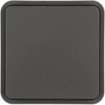 Berker Wippe 1fach f.W.1      6130763545 