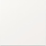 GIRA 329603 Wippe System 55 