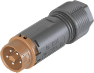 Wieland Stecker   RST16I5 S S1 ZT5S L BR 