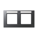 Jung Rahmen 2fach Schriftf AC5820BFNAANM 