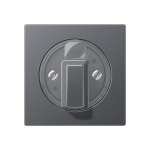 Jung Abdeckung f.Drehschalter A1541BFANM 