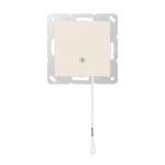 Jung Zug-Wechselschalter       A506BFNUZ 