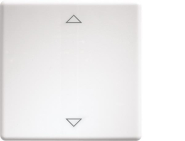 Eltako Wippe f.Funktaster im W-F1T55E-wg 