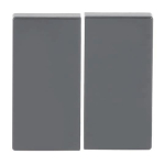 BJ FoH-Bedienelement 2fach   6736 FoH-81 