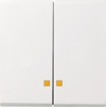 GIRA 063127 Wippe 2fach Kontrollfenster 