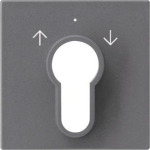 GIRA 066428 Abdeckung Schlüsselschalter 