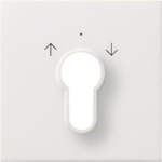 GIRA 0664112 Abdeckung Schlüsselschalter 