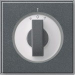 GIRA 066667 Abdeckung Knebel Zeitsch.+ 