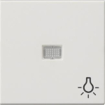 GIRA 063027 Wippe Kontrollfenster groß+ 