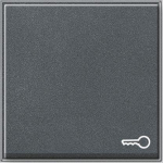 GIRA 028767 Wippe Symbol Tür TX_44 WG UP 