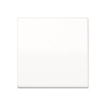 Jung Wippe f.Schalter/Taster   SPAS591WW 