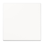 Jung Wippe f.Taster F10        SPLS101WW 