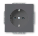 BJ SCHUKO Steckdosen Einsatz 20 EUCRB-81 