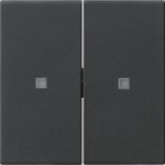 GIRA 5369005 Wippe 2fach unbedruckt KF 