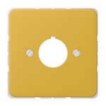 JG Zentralplatte                   564GE 