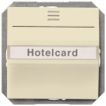 Siemens DELTA i-system HotelCard 5TG4824 