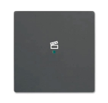 BJ Wippe 1f Szene schwarz    6233-10-885 