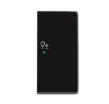 BJ Abdeckung 2fach Symbol     6234-22-81 