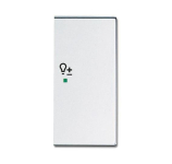 BJ Abdeckung Dimmer 2fach     6234-22-83 