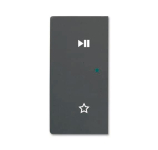 BJ Wippe schwarz matt        6237-21-885 