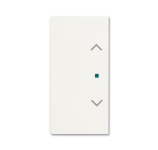 BJ Wippe 2f Jalousie matt    6232-20-884 